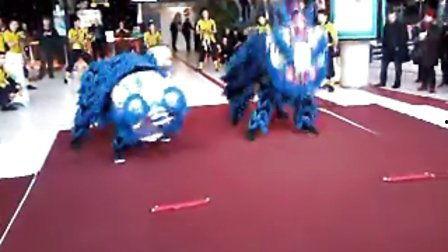 舞狮子表演视频爆料,揭秘传统表演背后的精彩瞬间 第1张 舞狮子表演视频爆料,揭秘传统表演背后的精彩瞬间 第1张